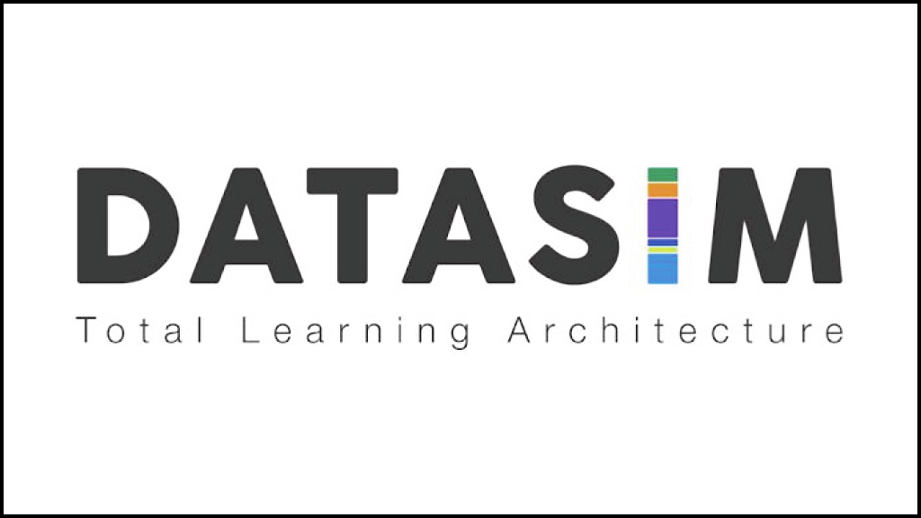 DATASIM logo